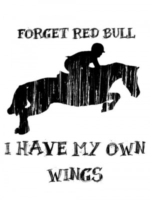 Horse #Quote – Forget Red Bull – I have my own wings ...