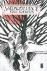 friendship a separate peace by john knowles themes of a separate peace ...