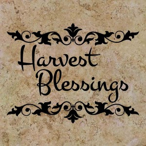 home vinyl wall art autumn fall harvest blessings harvest blessings