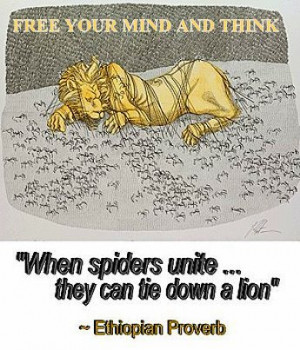 when-spiders-unite-they-can-die-down-a-lion-ethiopian-proverb