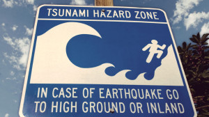 march 2014 what to do in a tsunami natural disaster tsunami with ...