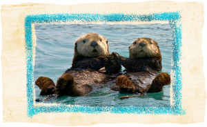 Sea Otter Holding Hands Quote Sea otters holding hands