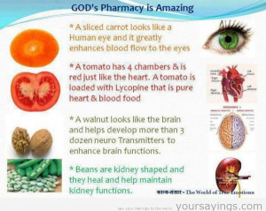 God’s Pharmacy Is Amazing ~ Health Quote