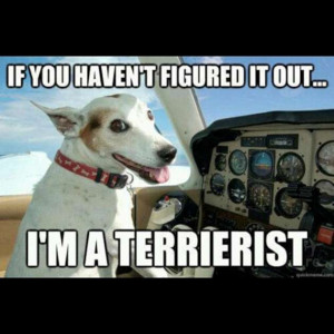 Funny Terrorist Memes
