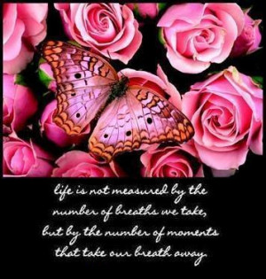 ... Butterfly Quotes Comments, Tagged Butterfly Quotes Graphics Codes