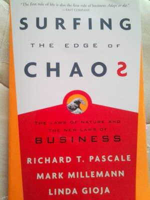 is an excellent book by Richard Pascale, Mark Millemann, and Linda ...