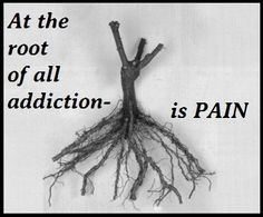 The Root Of All Addiction... - Sober Inspirations - Sign up for daily ...
