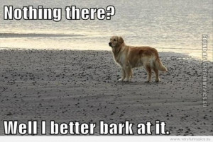 funny-pictures-nothing-there-well-i-better-bark-at-it.jpg
