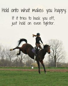 Hold onto what makes you happy. If it tries to buck you off, just hold ...