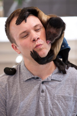 Summary For Cute Monkey Kiss