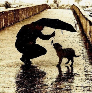 is no happiness like that of being loved by your fellow creatures ...