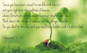 New life in Christ