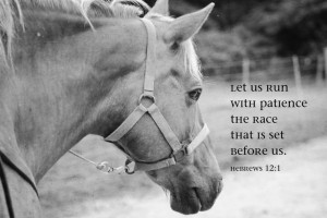 Black and White Print Hebrews 12 1 Run Race Horse Lover Christian ...