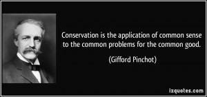 Conservation is the application of common sense to the common problems ...