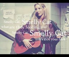 smelly cat More