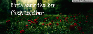 Birds same feather flock together Profile Facebook Covers