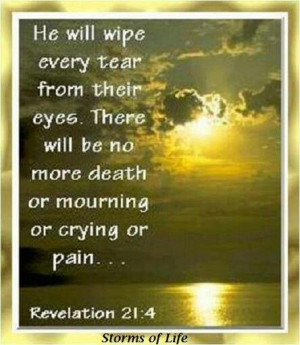 Via Nancy Castilleja