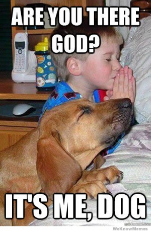 are-you-there-god-its-me-dog
