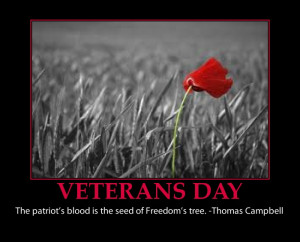 REMEMBRANCE and VETERANS DAY QUOTES AND INSPIRATIONAL POSTERS