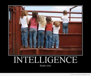 Funny Picture - Intelligence beats size