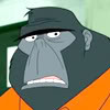 ... gorilla who befriended the monarch while in jail king gorilla was