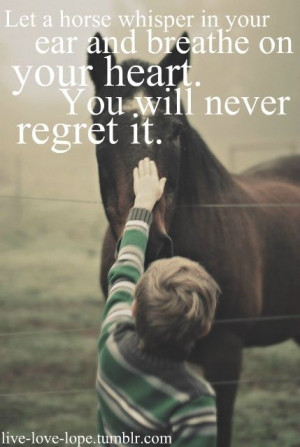 Horse Quotes