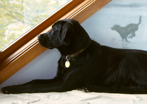 Coach Kent Murphy Bunting