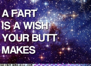 fart is a wish your butt makes funny quote
