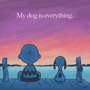 ... here: Home › Quotes › My dog is everything ♥ #dogs are the best