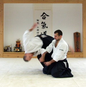 Aikido - the way of the harmonious spirit - it just sounds cool