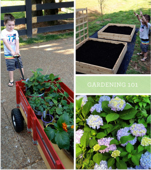 Vegetable Gardening 101 : how to build a simple raised garden bed