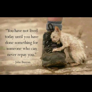 You have not lived today until you have done something for someone ...