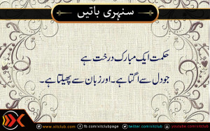 ... urdu-quotes-%5D-hikmat-aek-mubarik-darakht-ha-urdu_quotes_sayings_64