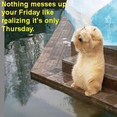 Thursday quotes quote days of the week thursday quotes happy thursday ...