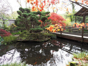 The Quotes Of The Japanese Garden In Cornwall