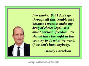 Woody Harrelson Questions Drug Wars Vs. Personal Freedom
