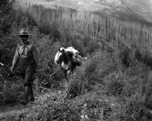 view original image )