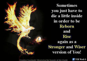 Pinned by Kiba Akridge