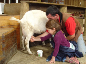Got Milk? Melissa Milks a Goat