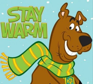Stay Warm Picture Quotes Stay warm