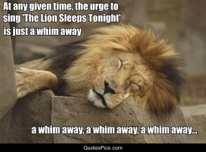 whim away, A whim away – lion king