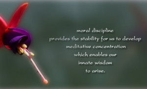Moral discipline provides the stability quotes
