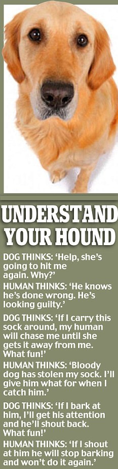 Top Facebook does lauren conrad still have her dogs