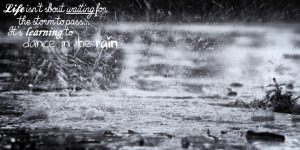 rain quote ian roth september 24 2012 quotes rain weather