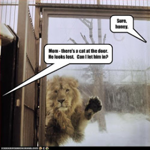 funny lion quotes,funny lion sayings life,funny lion good quotes,funny ...