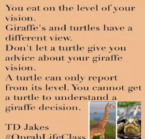 ... , Jake Quotes, Lessons Life, Fav Quotes, Td Jakes Quotes Turtle