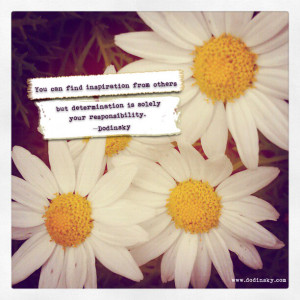 Daisies Daisy Love You Quote...