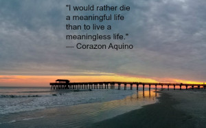 would rather die a meaningful life than to live a meaningless life ...