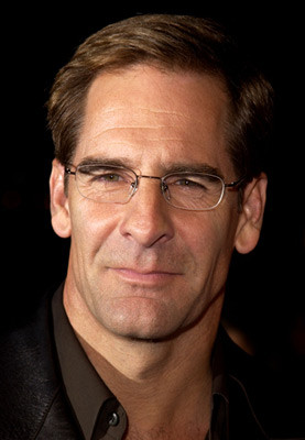 Scott Bakula: Matching People Express Both Their Masculine and ...