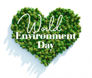 Previous article World Environment Day Quotes Sayings Images Slogans ...